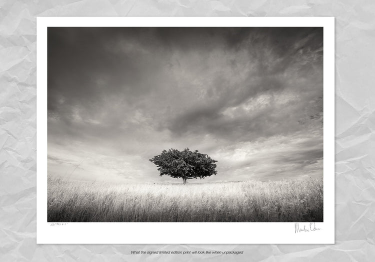 Solitary No.2