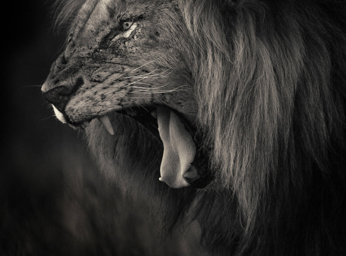 Creatures No.2