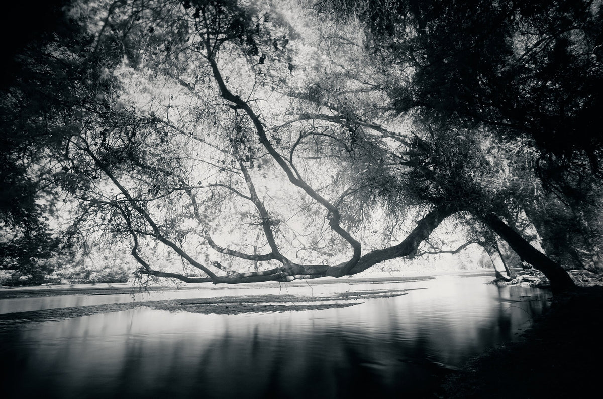 Ethereal Reverie No.6 by Martin Osner, an ethereal landscape
