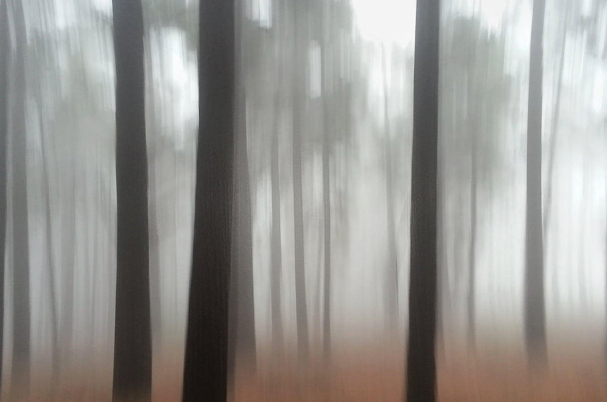 Illusion No.2