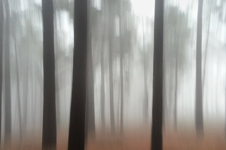 Illusion No.2