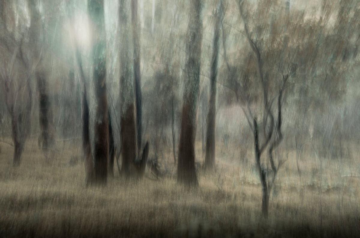 Illusion No.7 by Martin Osner, a fine art print