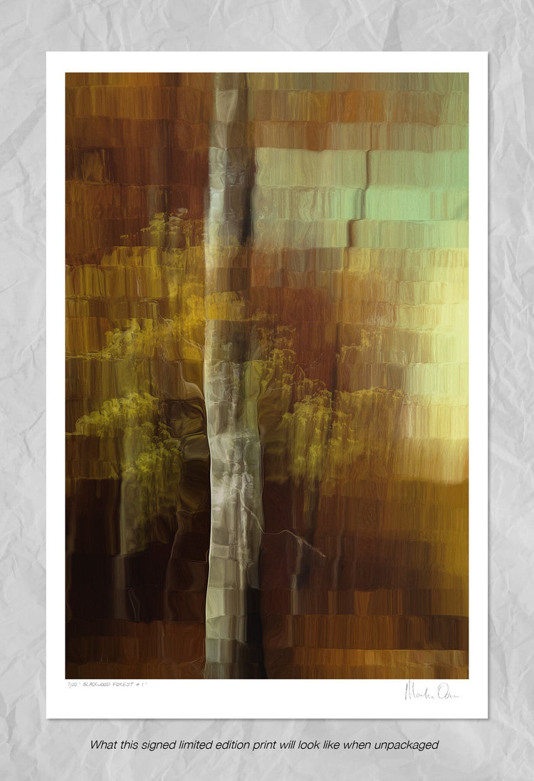 Blackwood Forest