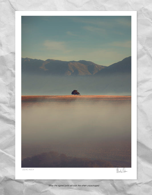 Solitary Vertical
