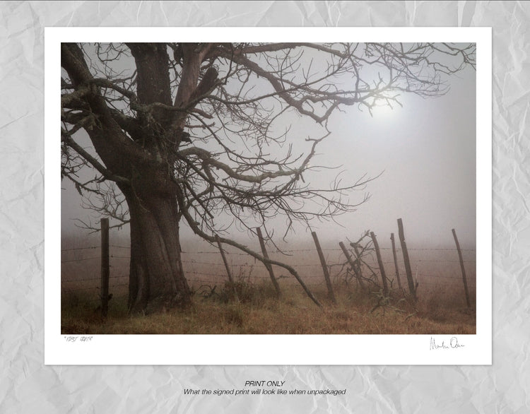 First Light No.1