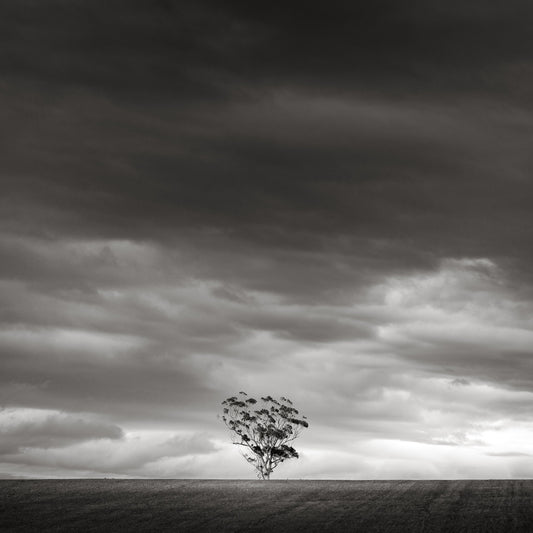 Classic Black & White - Secluded Hill