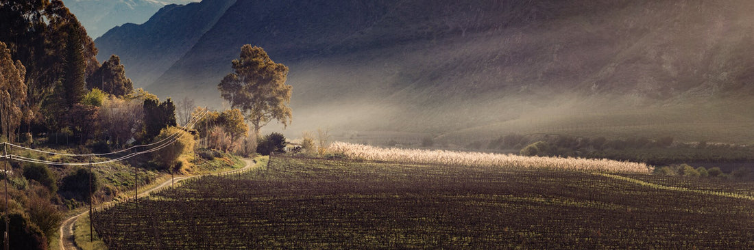 Majestic Homestead, a homestead landscape print by Martin Osner at first light