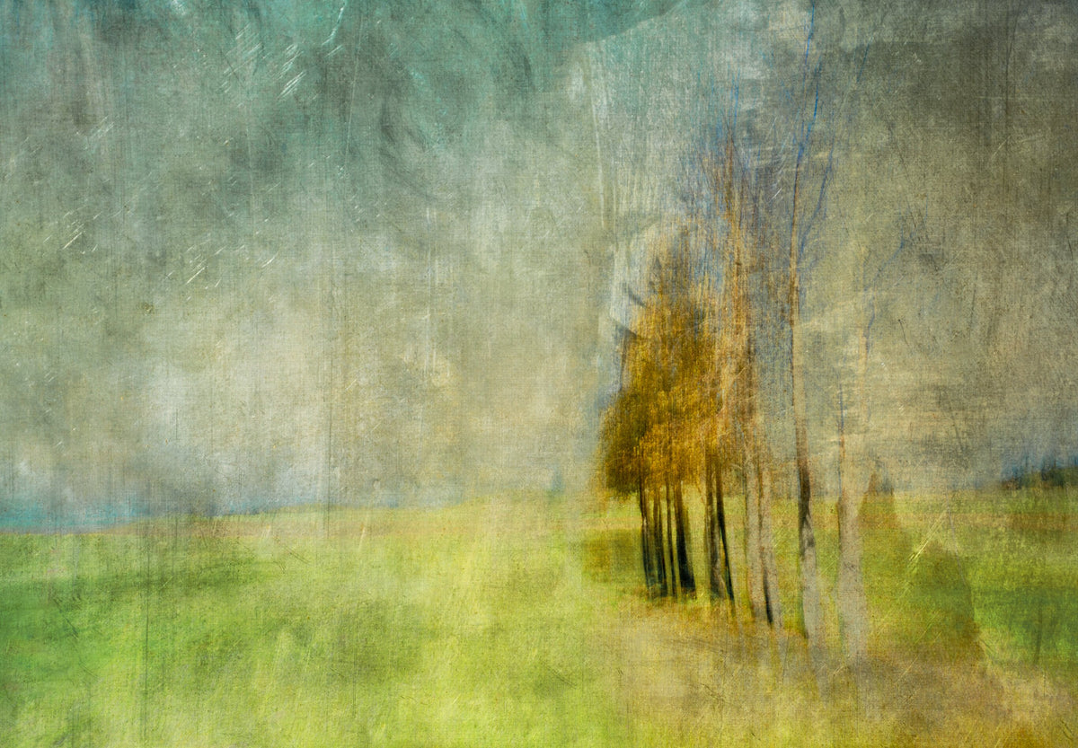 Tranquility