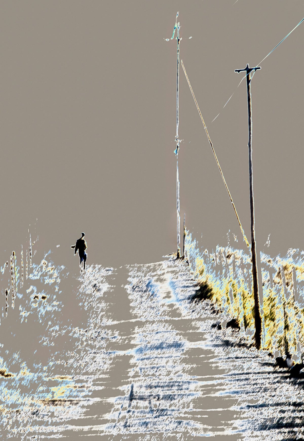 Man in the Vineyard