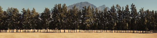 Rural Symmetry