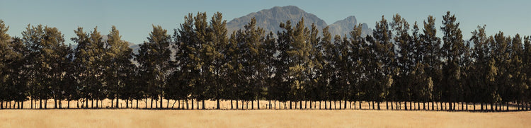 Rural Symmetry