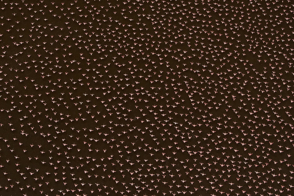 Patterns of Africa | Flamingo Impressions