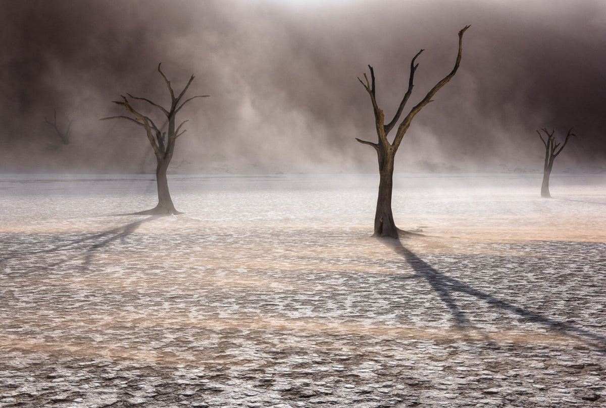 East Wind by Hougaard Malan, a windswept Deadvlei