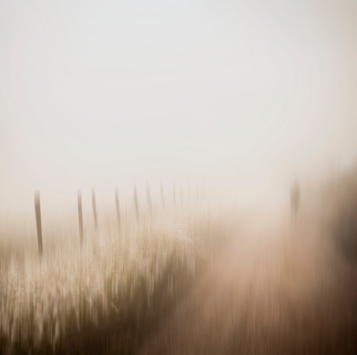 Countryside Phantasy by Samantha Lee Osner, a soft abstract of a misty dirt road