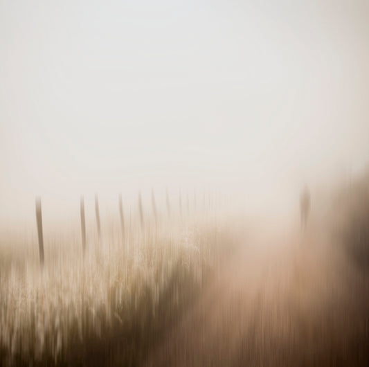 Countryside Phantasy