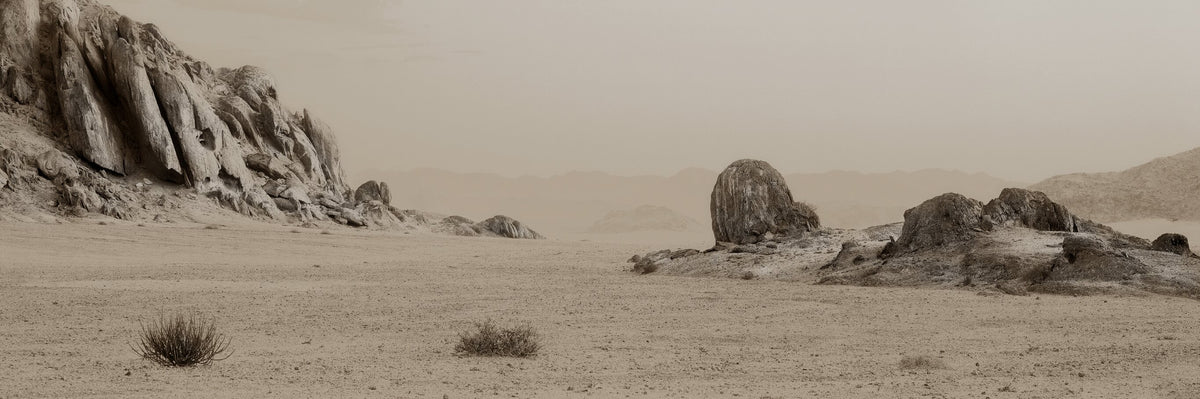 Arid Wilderness No.2 - Sepia Edition