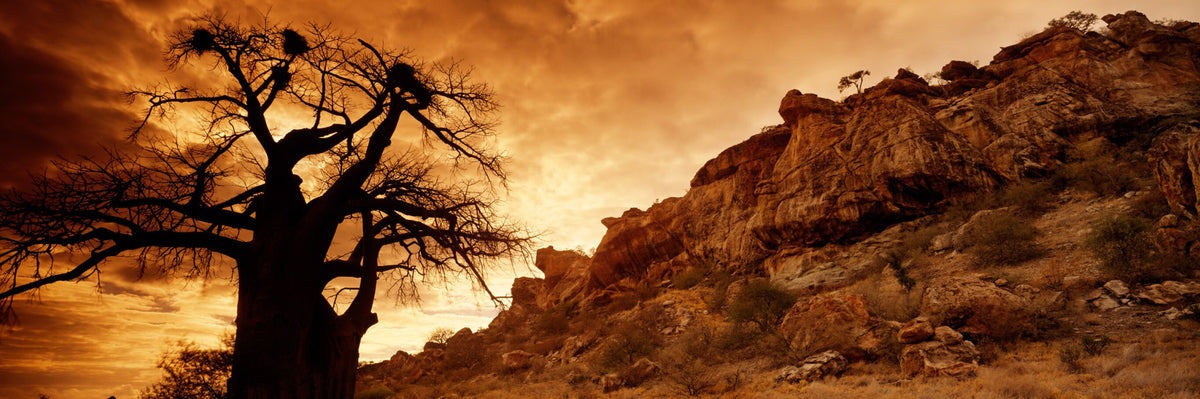 African Sunrise