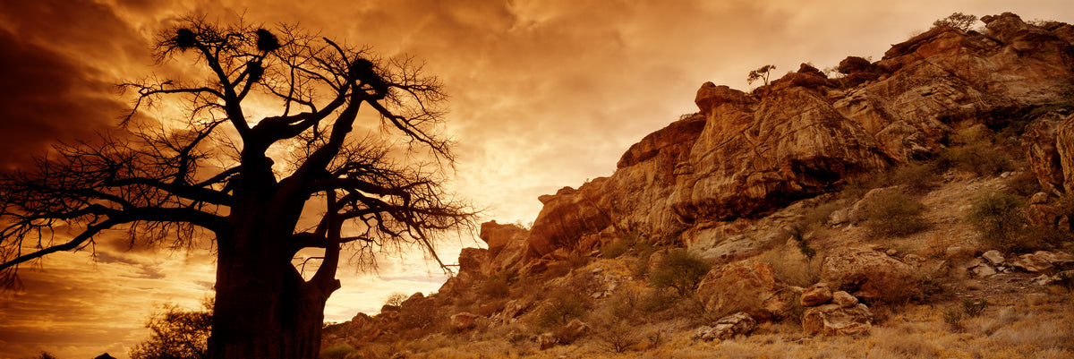 African Sunrise by Koos van der Lende, a baobab and sandstone at sunrise in Mapungubwe