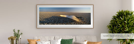 Whale Bone