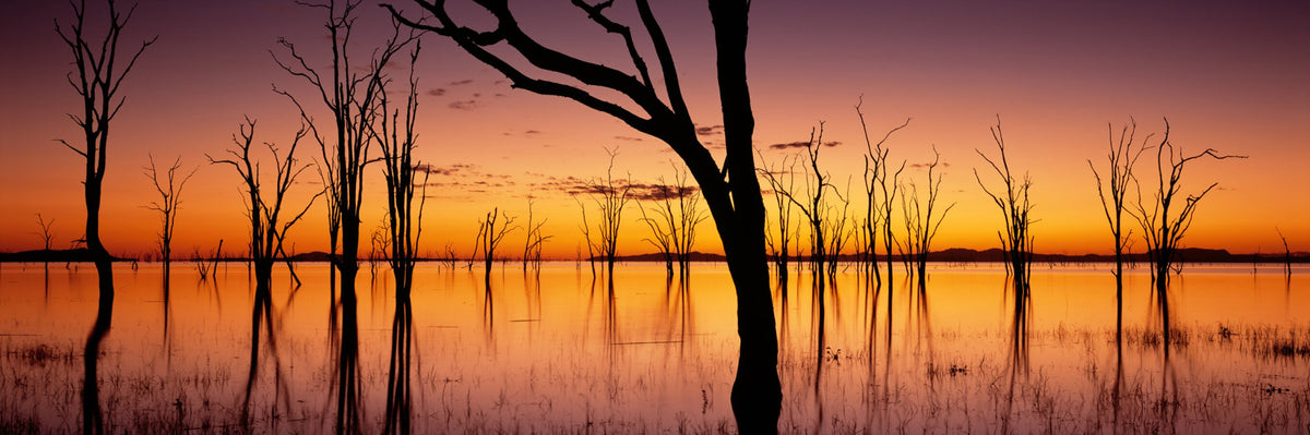 Kariba Sunset, a Zimbabwe sunset print by Koos van der Lende of tree silhouettes