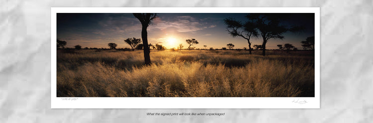 African Sunset