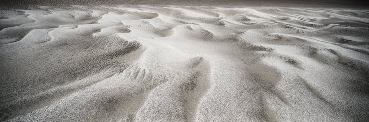 Sand Skeleton