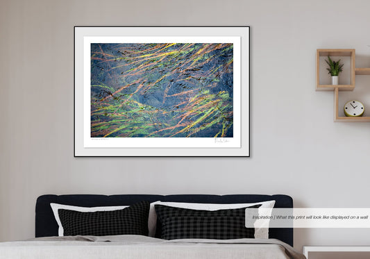 Patterns of Nature No.3