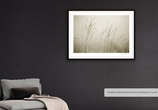 Patterns of Nature No.5