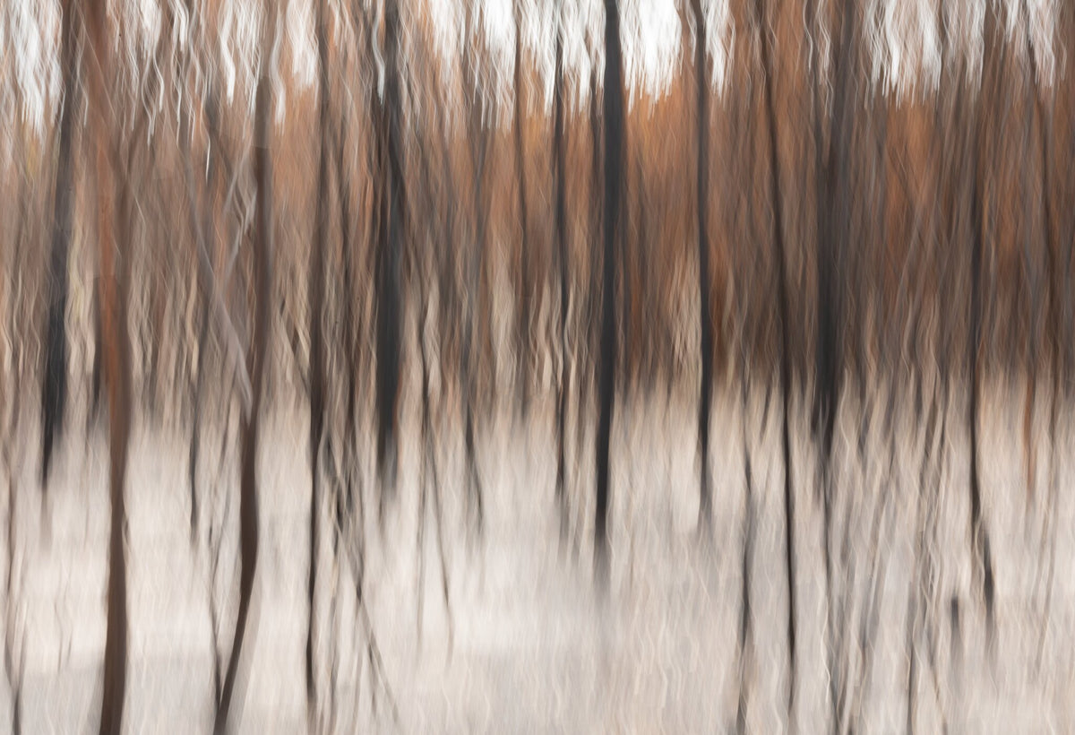 Fire & Ash No.3