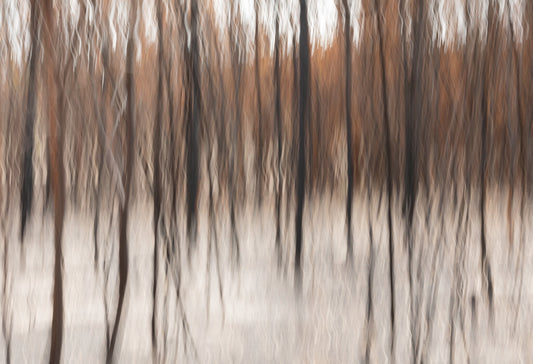 Fire & Ash No.3
