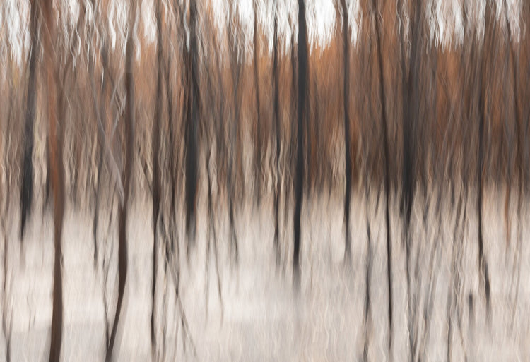 Fire & Ash No.3