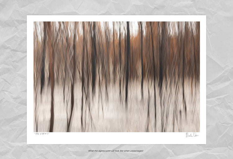 Fire & Ash No.3