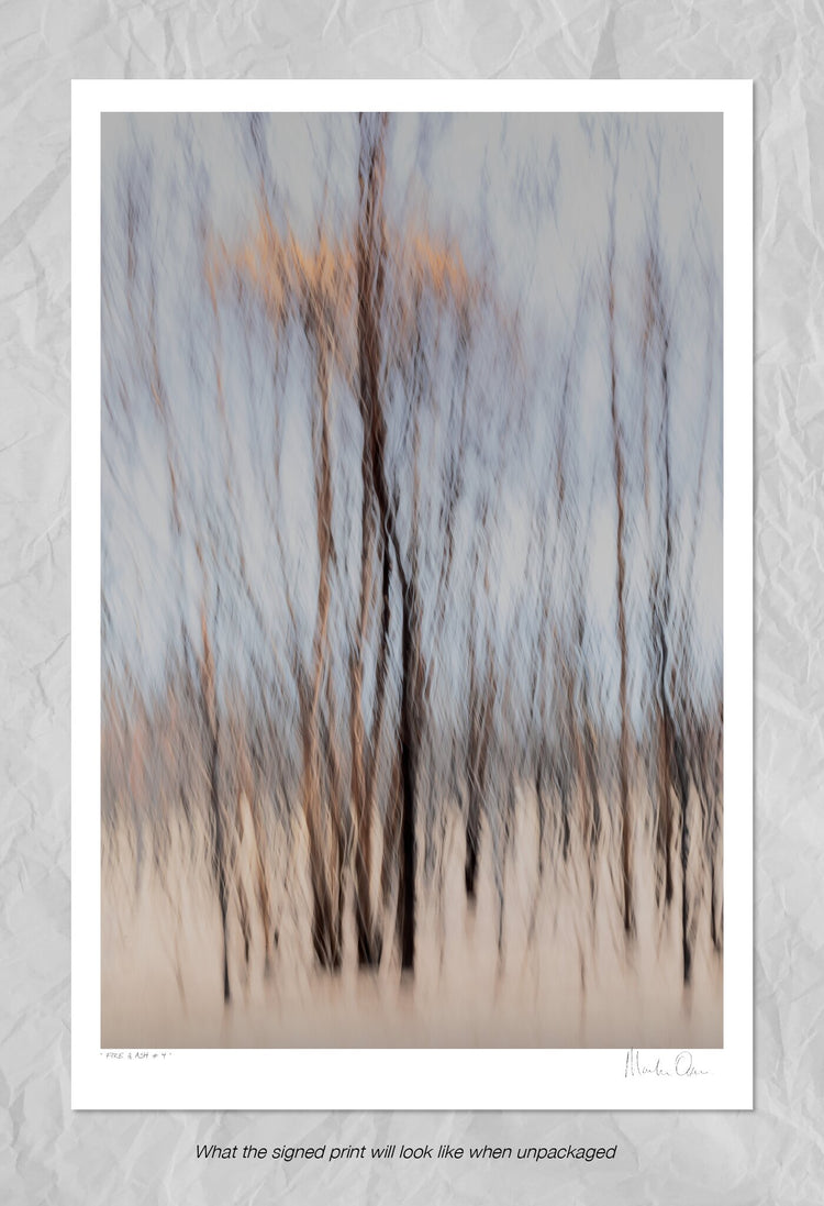 Fire & Ash No.4
