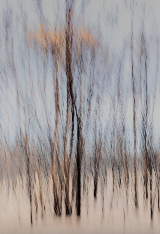 Fire & Ash No.4