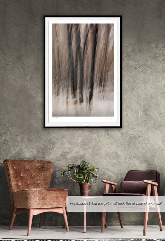 Fire & Ash No.5