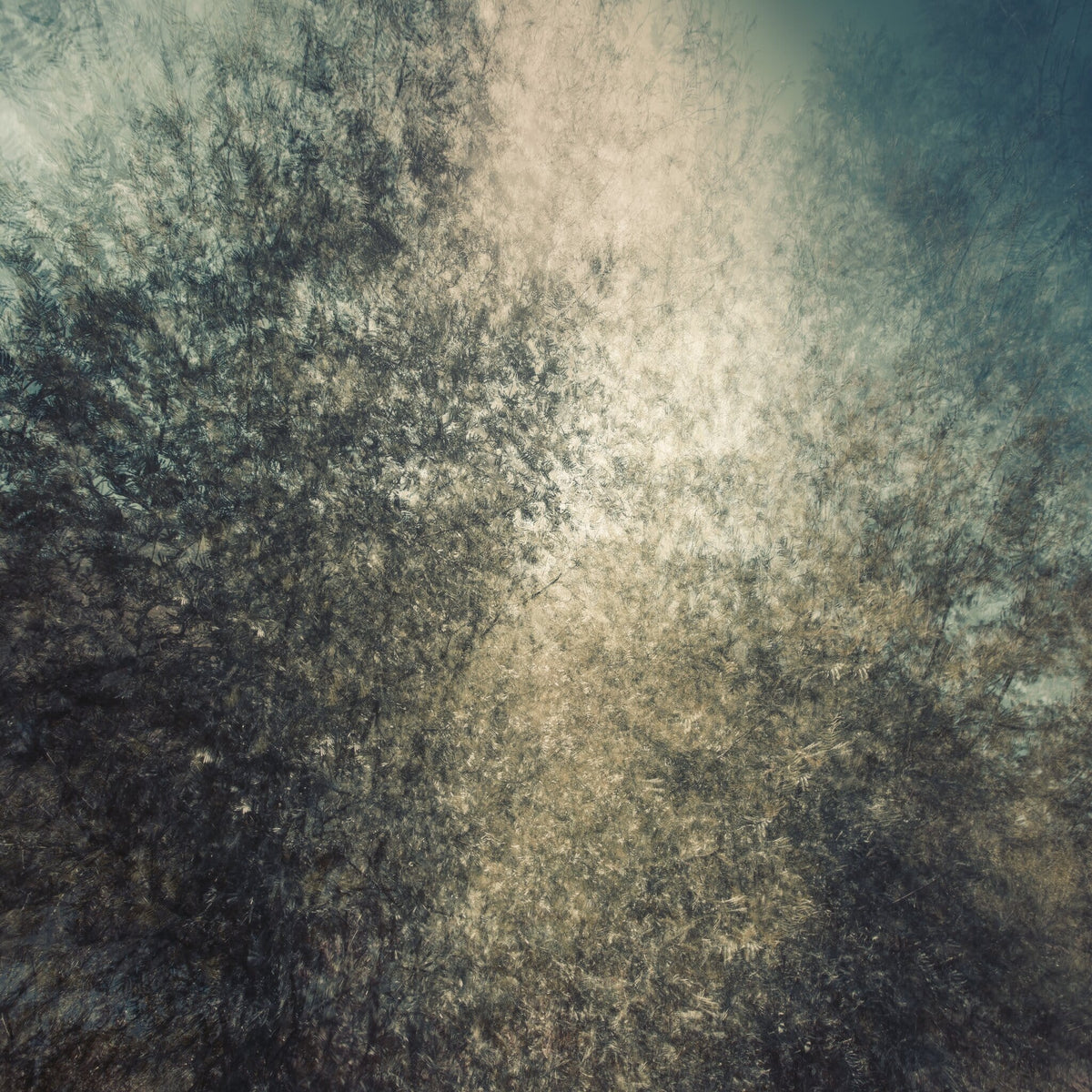 Rhythmus No.2