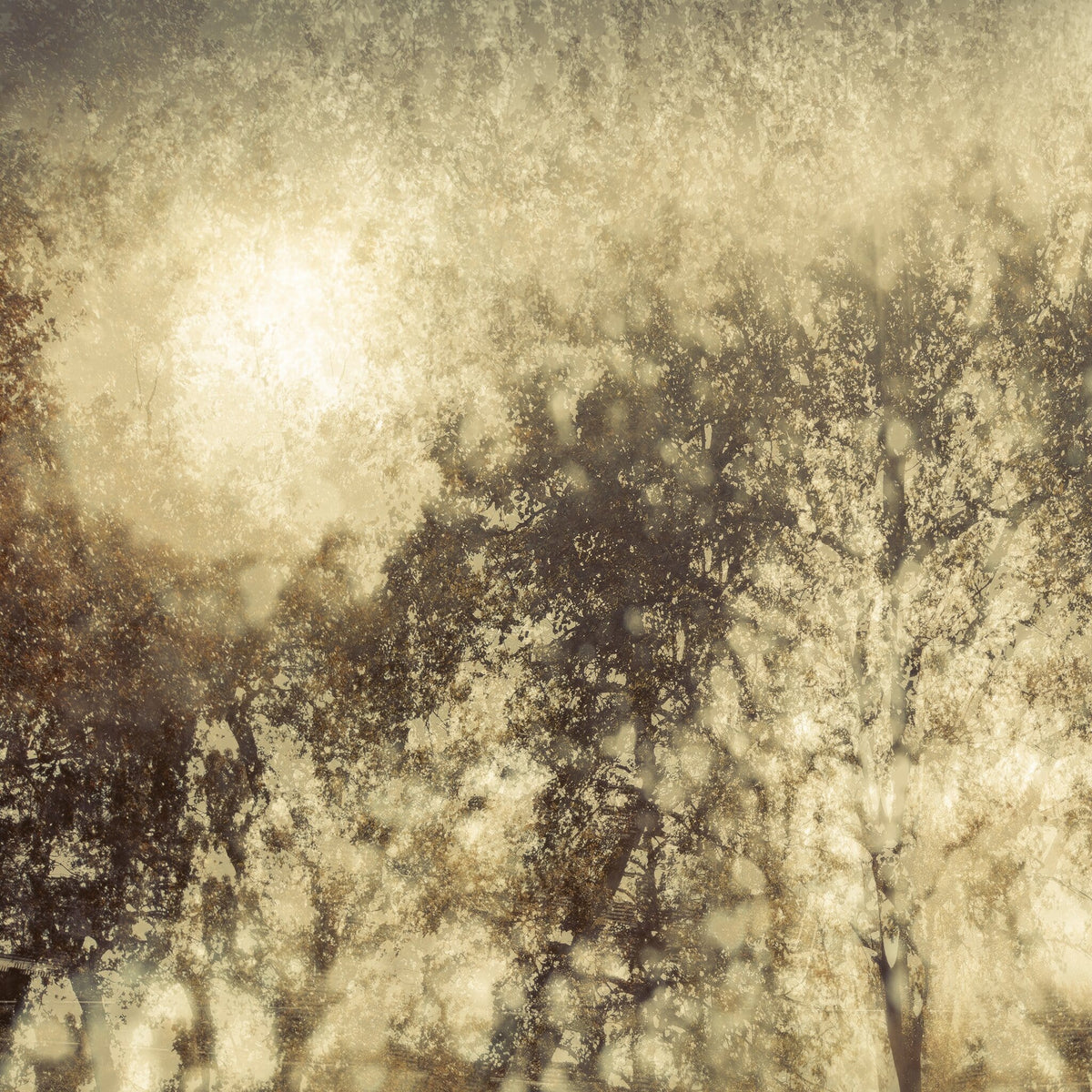 Rhythmus No.6