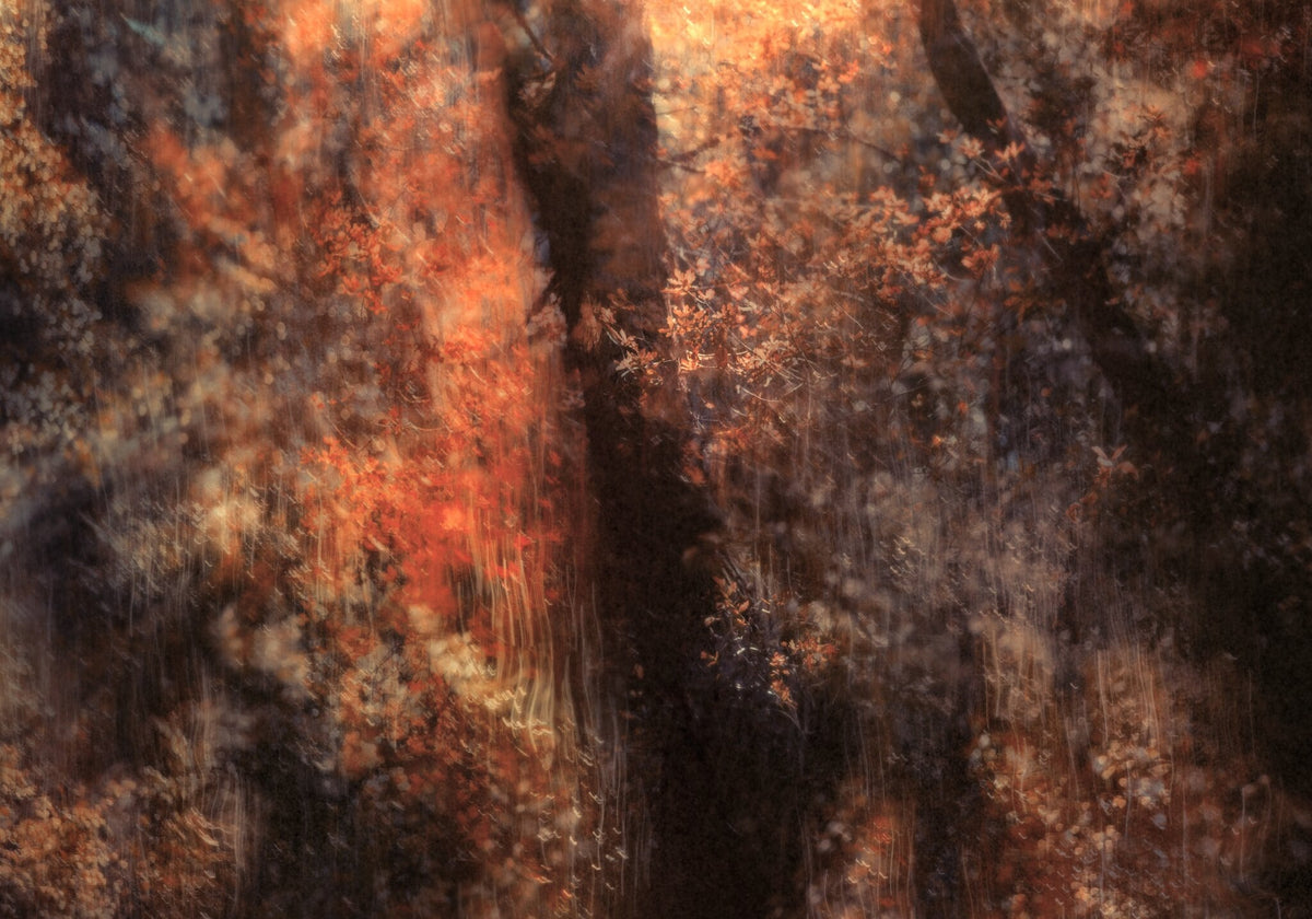 Secrets in Eden No.1