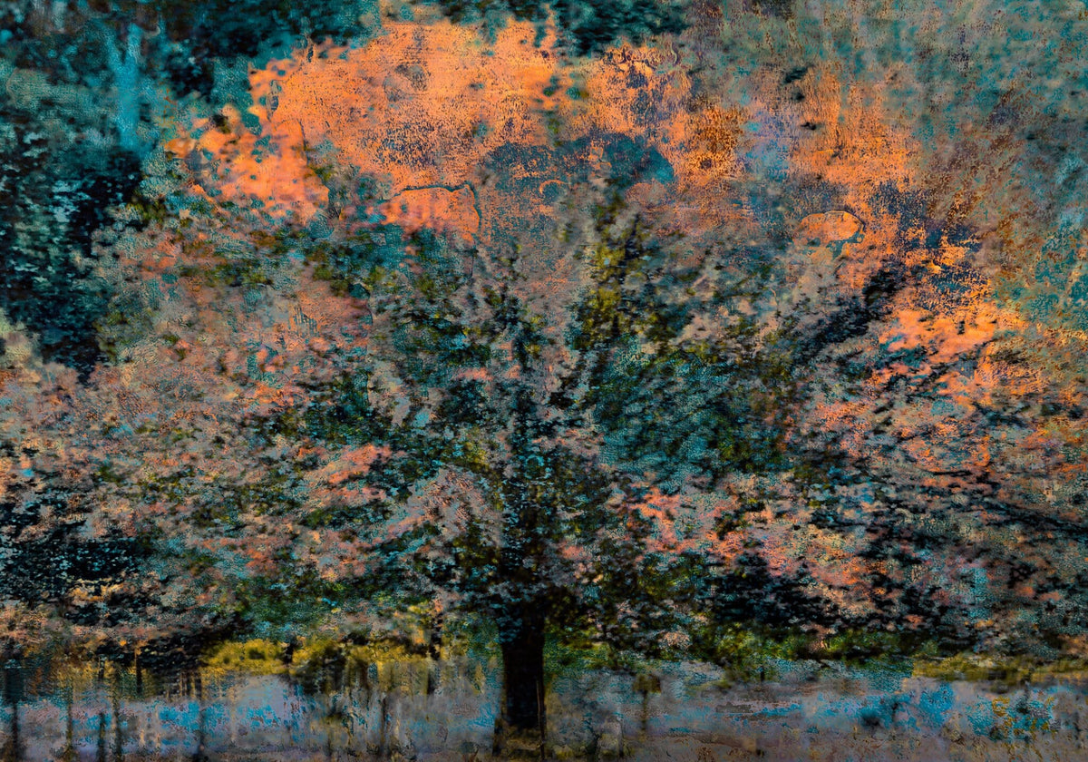 Meadow of Gold No.1 by Martin Osner, a bold abstract impression of the Hemel en Aarde Valley