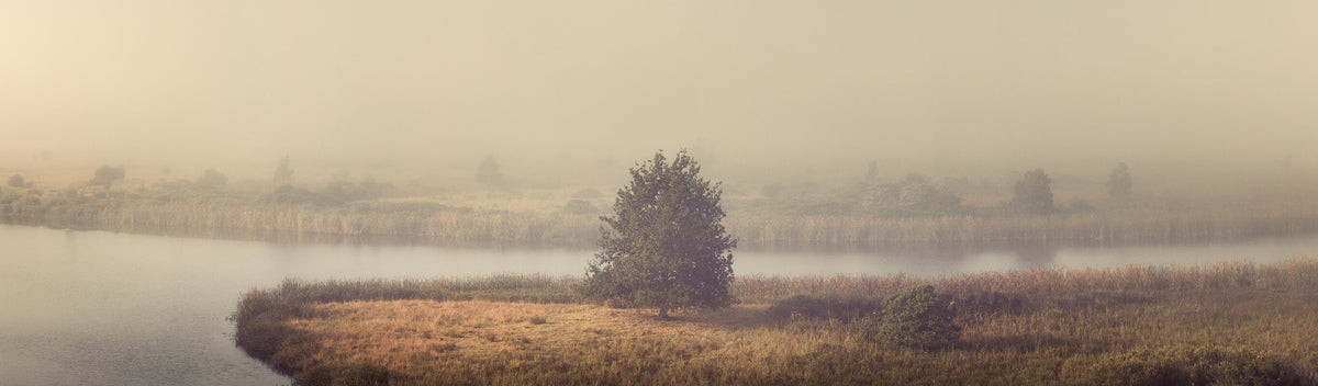 Solitude Panoramic tree river landscape print by Martin Osner