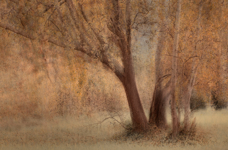 Pièce de Rèsistance No.3