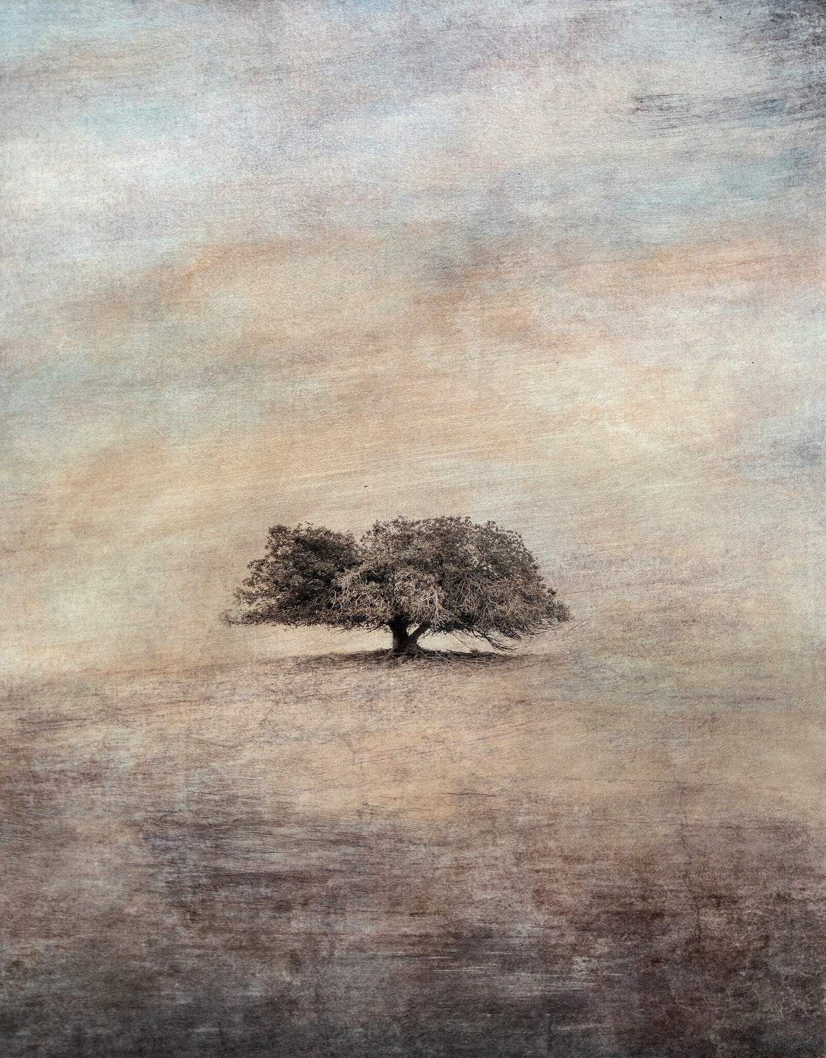 Précis, Fortitude tree landscape painting by Samantha Lee Osner