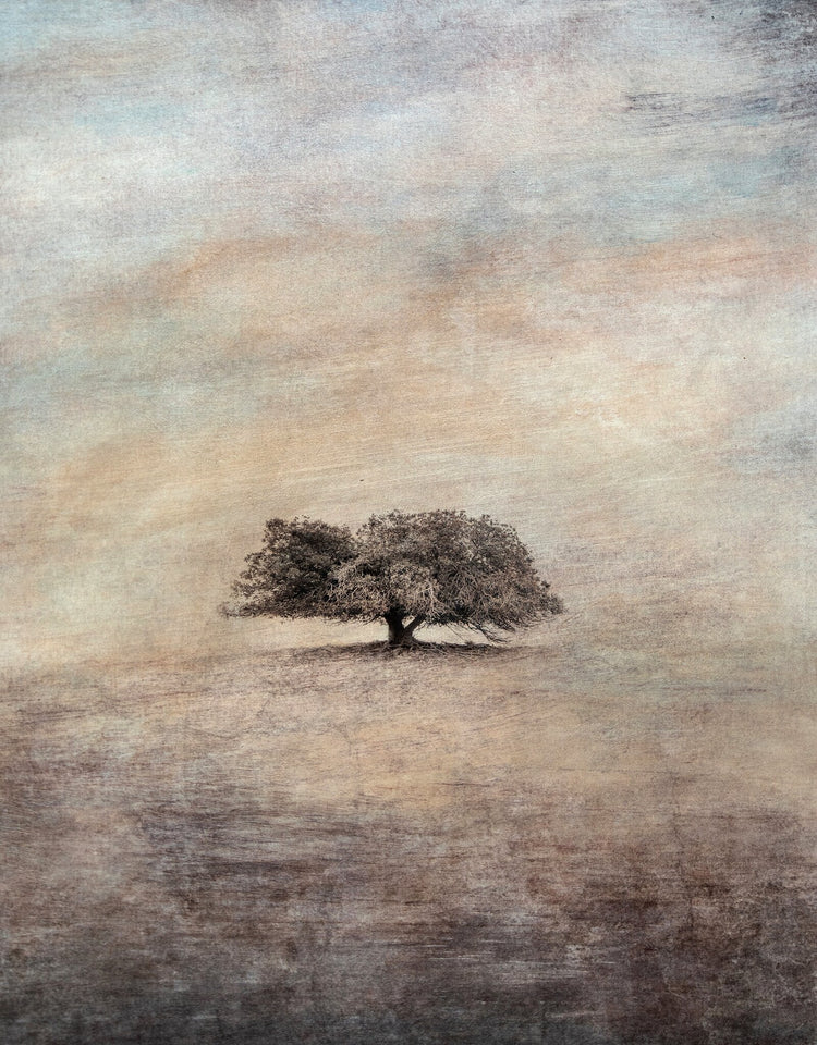 Précis - Fortitude