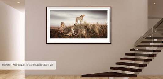 Brotherhood No.4 | Pride of Africa