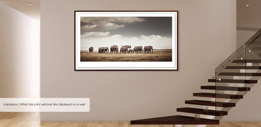 The Crossing No.1 | Pride of Africa