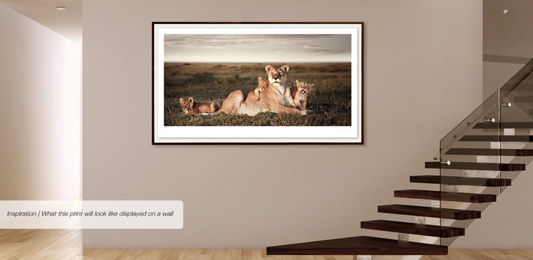 Union No.2 | Pride of Africa