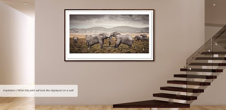 Affirmation | Pride of Africa