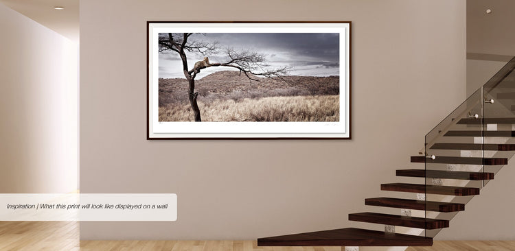 Sentinel | Pride of Africa