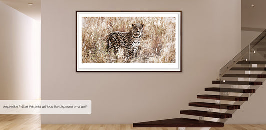 Dignity | Pride of Africa