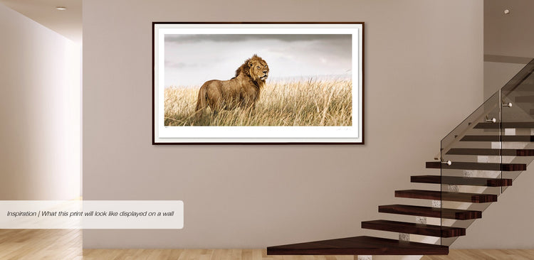 Intrepidity No.1 | Pride of Africa